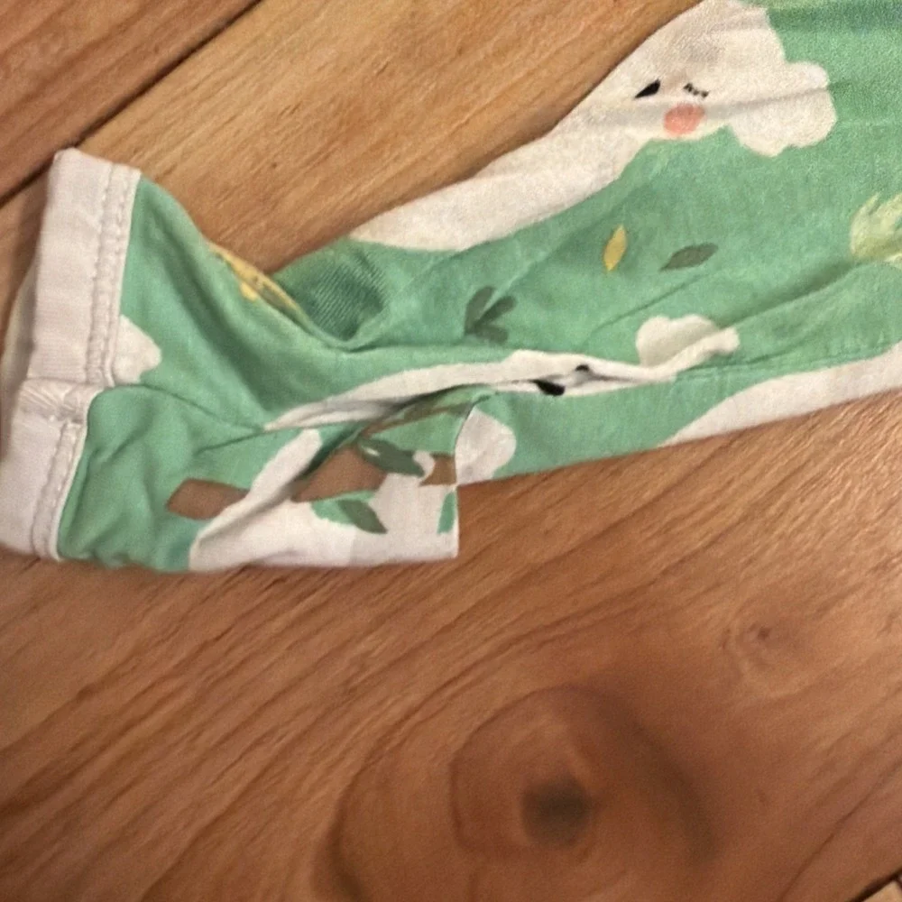 Little Sleepies Newborn Baby Boys Koala Green Bamboo Sleeper Gown Bunting EC